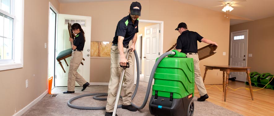 Kirkland, WA cleaning services