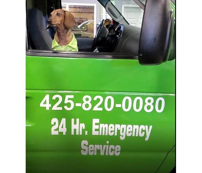 Daisy! SERVPRO of Kirkland